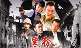 正义人士爆料视频大全,揭秘爆料视频背后的真相与力量