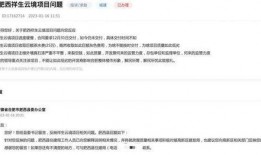 祥生票据最新爆料消息,揭秘行业内幕，深度解析市场动态