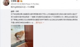 表哥最新爆料新闻,揭秘娱乐圈最新劲爆新闻