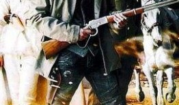 电视剧大漠神枪全集在线观看,传奇枪手驰骋沙场，热血铸就英雄传奇