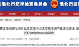 新闻视频爆料,新闻视频揭露惊人内幕