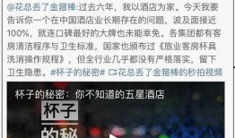 新闻爆料酒店卫生,揭秘背后的卫生隐患与监管挑战