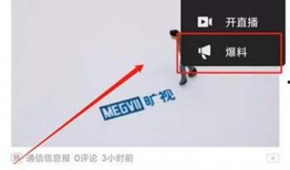 今日视线爆料有多少钱啊,巨额财富揭秘！