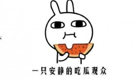 抖音网红吃瓜免费观看,免费观看，揭秘娱乐圈幕后故事