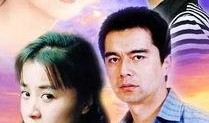 风雨丽人全集在线观看,传奇女性的悲欢人生
