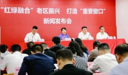 景宁新闻爆料视频,揭秘当地热点事件背后的真相