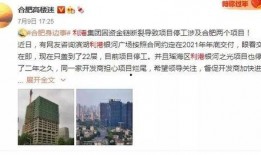 合肥爆料最新,揭秘城市热点事件背后的真相