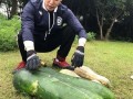 介休大瓜爆料视频,视频爆料背后的惊人真相