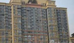 广安名门最新爆料,揭秘神秘事件背后的真相