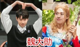 明星娱乐圈爆料肖战事件,娱乐圈爆料背后的真相与反思