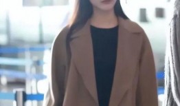 汪小菲新女友爆料平台视频,揭秘恋情细节与幕后故事”