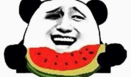 网红吃瓜群众免费吃瓜,揭秘娱乐圈幕后真相