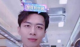 网红被爆料翻车视频大全,揭秘热门视频背后的真相