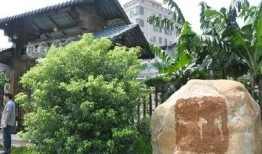 爆料违建的新闻,揭露背后利益链与监管漏洞