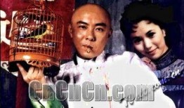方谬神探在线观看,探案奇才的在线悬疑之旅