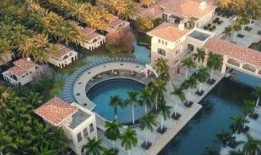 下期花园爆料视频最新,神秘植物品种大公开！