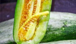 网红吃瓜群众免费吃瓜,揭秘娱乐圈幕后真相