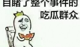 打假网红吃瓜事件真相是真的吗,真相揭秘，是真是假？