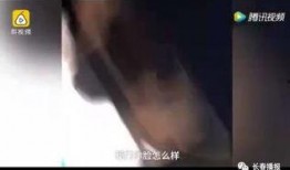 新疆网友爆料视频最新,揭秘神秘事件背后的真相