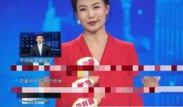 赣州爆料新闻主播有哪些,揭秘赣州本土主播风采