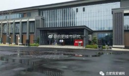 合肥爆料最新,揭秘城市热点事件背后的真相
