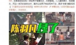 文轩被抓爆料视频是真的吗,文轩被抓爆料视频真实性揭秘