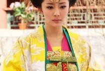 在线观看美人天下,宫廷权谋与爱恨情仇的华丽演绎