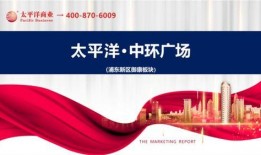 上海浦东新区新闻爆料,聚焦发展新突破与民生改善成果