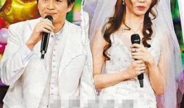 婷婷娱乐爆料,揭秘娱乐圈最新热点事件