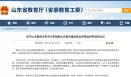 齐鲁新闻爆料网上,揭秘背后真相，聚焦社会热点