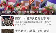 青岛新闻在线爆料平台,独家爆料，揭秘青岛最新热点事件！