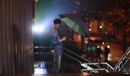 欢乐颂2第五十五集在线观看,情感漩涡再起，命运抉择时刻
