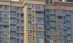 广安名门最新爆料,揭秘神秘事件背后的真相