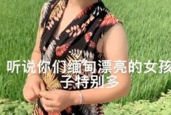 缅甸小女孩爆料事件视频,引发社会关注