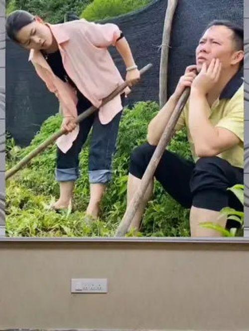 娱乐八卦一定吃瓜群众